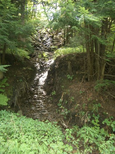 Water_Fall_going_into_the_Susquehanna.JPG