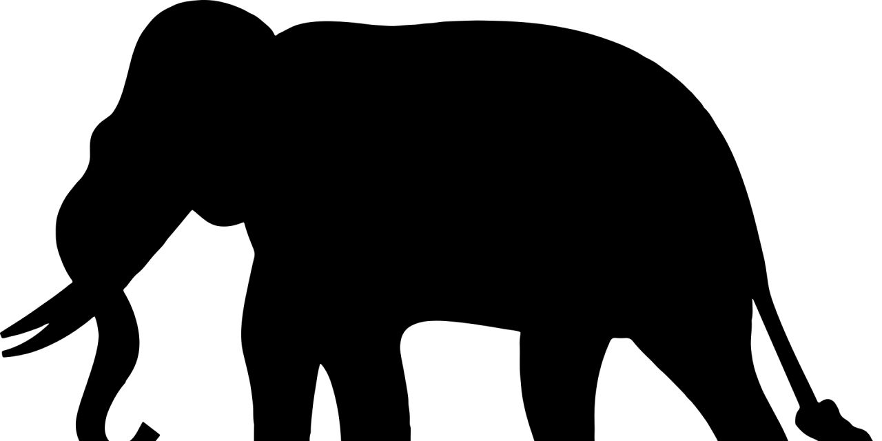 Elephant in the Room - Trucking Blogs - ExpeditersOnline.com