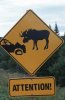 newfoundland-signs.jpg