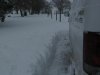 Winter 2010 016.jpg