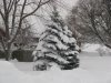 Winter 2010 023.jpg