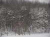 Winter 2010 026.jpg