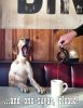 coffee dog2.jpg