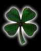 4_leaf_clover_lg.jpg