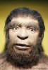 E4380138-Classic_Neanderthal_Man-SPL.jpg