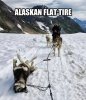 alaskan flat tyre.jpg