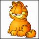 80x80_garfield0013_nupr0zNctSOLer77ctE6A.jpg