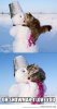 funny-cat-hugging-snowman-426x800.jpg