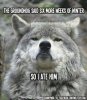 wolf.jpg