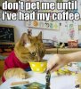 cat coffee.jpg