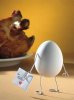 chiken-egg-eggs-funny-joke-mother-Favim.com-74827_large.jpg